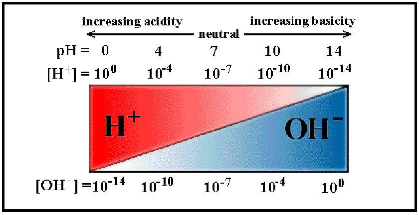 Image pH_scale